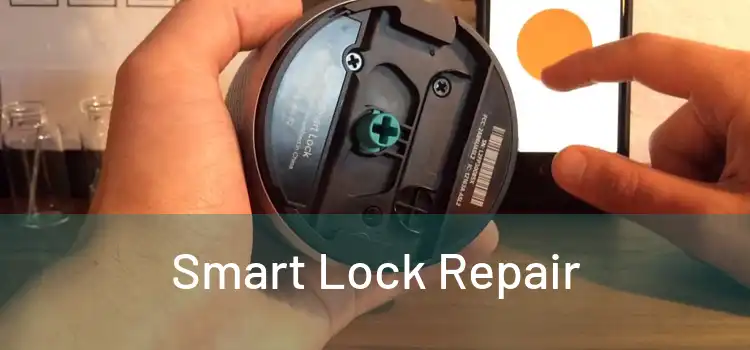 Smart Lock Repair